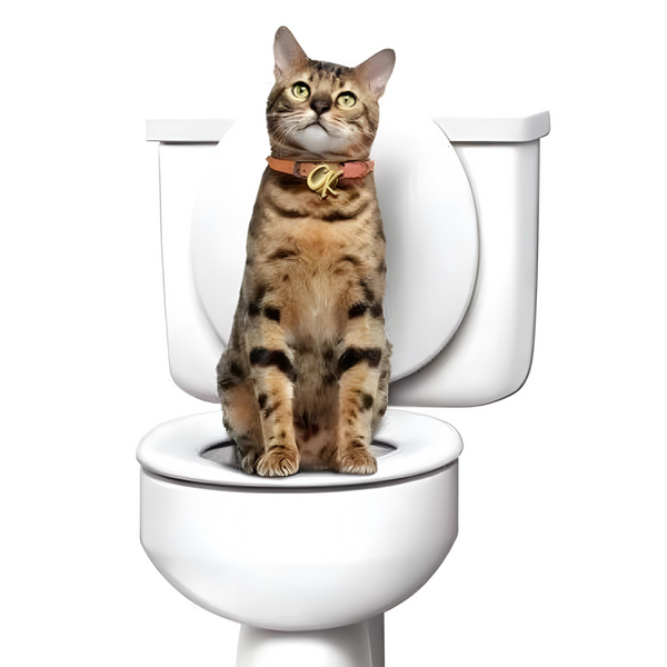 Набір для навчання кота до унітазу CitiKitty Toilet, білий karam-2bc фото
