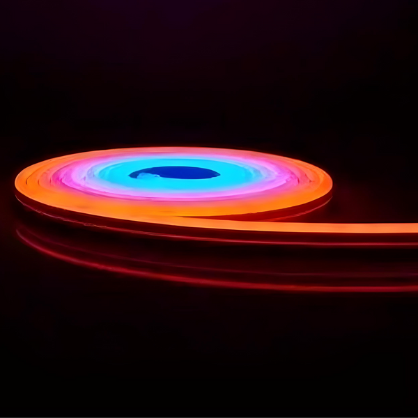 Стрічка силіконова LED NEON 5 м 12V-220V multi with function 8491 210f6j9Tv фото