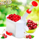Машинка для удаления косточек из вишни Helfer Hoff Cherry JmL-3n4H фото 1